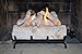 Terra Flame Gel Log Set Fireplace Insert, 18 Inch, White