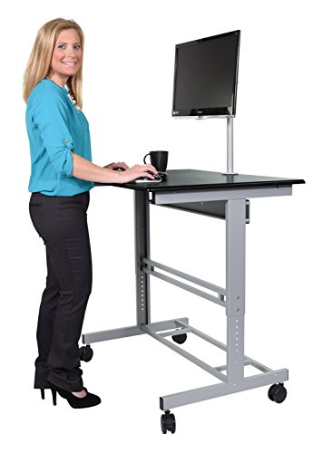 48" Stand Up Desk w/ FREE Monitor Mount (Black Shelves / Silver Frame)