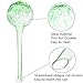Set of 6 Self Watering Stakes | Plant Water Bulbs | Automatic Watering Glass Globes Dispenser | 6CM x 15CM,150ML Capacity | Watering Solutions for Potted Plantthumb 4