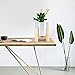 Indoor Plant Stand with Pots, ZOUTOG Mid Century Planter Stands, Beech Plant Stand for Indoor & Outdoor Use, Pots are Included, Pack of 2thumb 1