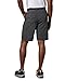 Columbia Sportswear Men's Big and Tall Silver Ridge Cargo Shorts,Grill,32W x 10L