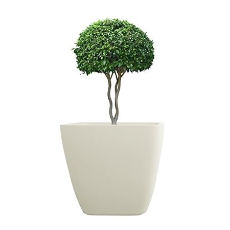 YUCCABE ITALIA Planter, White, Large, 1 Piece