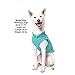 Gooby Fleece Vest Dog Sweater - Turquoise, Large - Warm Pullover Fleece Dog Jacket with O-Ring Leash for Small to Medium Dogs