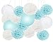 Furuix Baby Shower Decorations for Boy 16 pcs White Baby Blue Tissue Pom Pom Flower and Paper Lanterns First Birthday Party Decorations Frozen Baby Shower Party Decoration Set for Boy