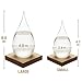MoharWall Weather Predicting Storm Glass Home Office Decor Christmas Fashion Friendship Gift Creative Desktop Fitzroy Weather Crystal Bottle Forecaster Barometer