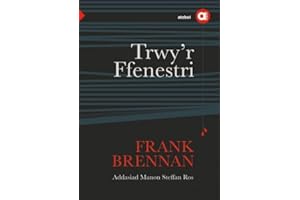 Cyfres Amdani: Trwy'r Ffenestri (Welsh Edition)