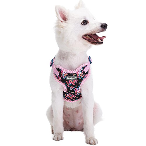 image for Blueberry Pet 6 Patterns Soft & Comfy Spring Made Well Elegant Floral 