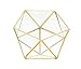 Bella's garden Gold Geometric Glass Terrarium Container DIY Desktop Planter Succulent Air Plants Candle Light Holder Miniature Outdoor Fairy Garden Wedding Gift Home Decor (Gold,Medium)