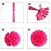 ZJHAI Set of 20 Rainbow Color Paper Pom Poms and Paper Folding Fans, 5 Colors, for Decorating Party, Shop or Wedding