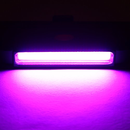 red blue light for bike