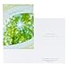 DaySpring Thinking of You Greeting Card with Embossed White Envelopes, 12 Count, Sunny Sentiments