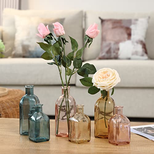 GMWD Glass Flower Vase Set of 6 Tall Clear Bud Vases, 14.5 Oz 8 Oz Apothecary Bottle Assorted Color Vases Decorative for Centerpieces Home Decoration Wedding Reception Table Decor