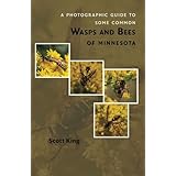 A Photographic Guide to Some Common Wasps and Bees of Minnesota