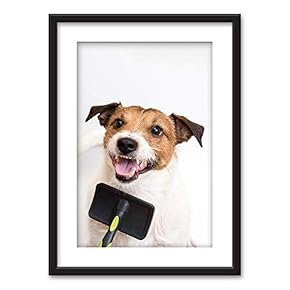 Framed Wall Art - Dog Being Groomed - Black Picture Frames White Matting - 23x31 inches