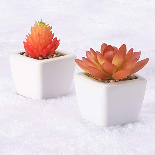 Planta Falsa Tropical Pequeña – 16 Plantas Artificiales De Imitación Para Escritorio, Interior, Con Maceta De Papel
