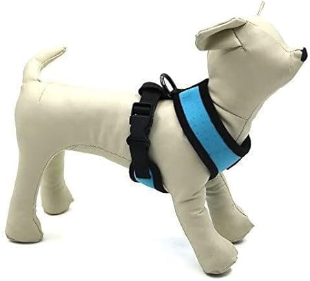 the range dog harness