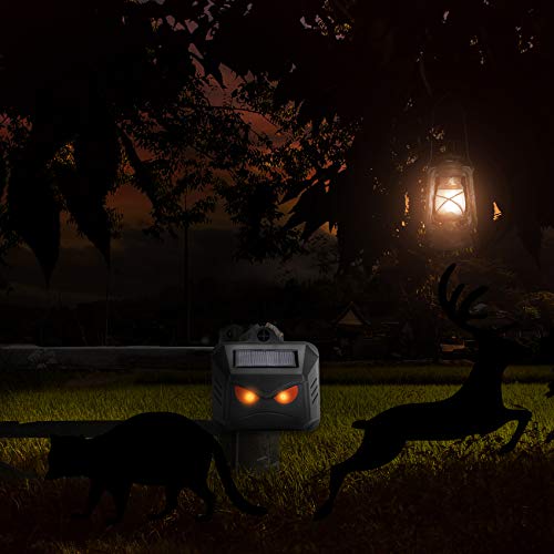 Thanos Nighttime Animal Deterrent Light Solar Powered Nocturnal Animal