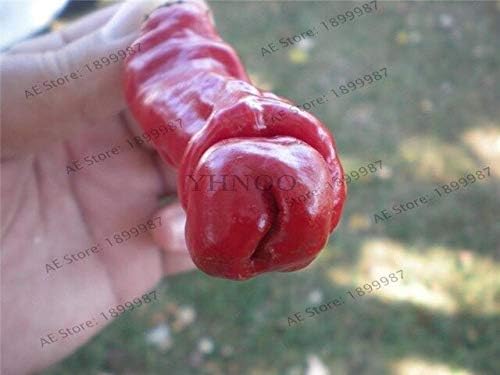 Bra Hot - 200 Pcs Mixed Yellow Puple Red Green White Mix Sweet Bell Hot Pepper Bonsai Vegetables Paprika, Plant for Home Garden(Seed) - by Abuldahi
