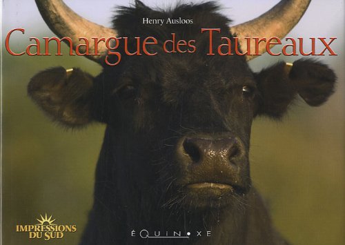 Camargue des taureaux