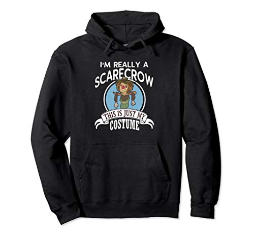 Scarecrow Halloween Costume Hoodie This Is Just My Costume