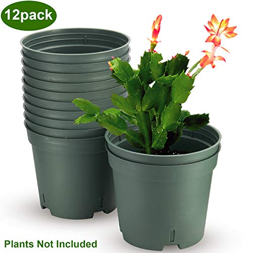 Pots for Plants, ZOUTOG 6 inch Plastic Planters with Drainage Hole, Pack of 12 - Plants not Included - Thumbnail 7