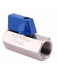 Dernord Mini válvula de bola acero inoxidable válvula de bola rosca NPT