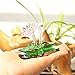 H&D Crystal Lotus Flower Figurine Glass Ornaments Table Decoration