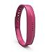 BeneStellar 12 Colors Bands for Fitbit Flex 2, Replacement Bracelet Strap Band for Fitbit Flex 2