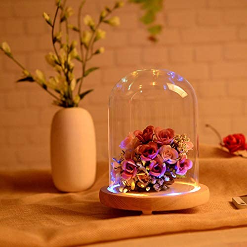 Warmiehomy Glass Cloche Bell Jar Dome with Wood Base + Lights (9x25cm, Clear, Modern Elegant Festive, Christmas, Wedding, Mother’s Day)
