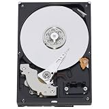 Hitachi-HGST Ultrastar 7K3000 HUA723030ALA641 3.5in 3TB SATA 6.0Gb/s 7200RPM 64MB Cache Hard Drive (Renewed)