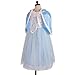 Dressy Daisy Girls' Princess Dress Up Halloween Party Costumes Dresses Size 3T
