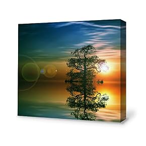 for Living Room Bedroom Home Artwork Paintings Secret...