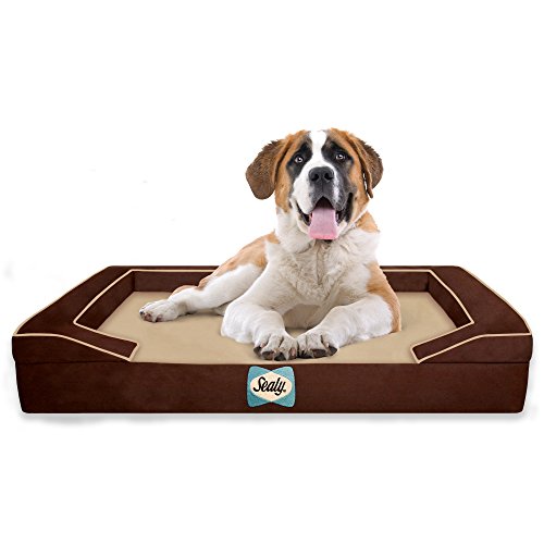 Sealy Dog Bed for Dogs, X-Large