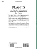 Image de Plants: 2,400 Royalty-Free Illustrations of Flowers, Trees, Fruits and Vegetables (Dover Pictorial Archive)