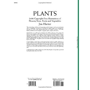 Plants: 2,400 Royalty-Free Illustrations of Flowers, Trees, Fruits and Vegetables (Dover Pictorial Archive)