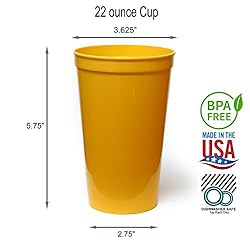 Rolling Sands 22 Ounce Reusable Plastic Stadium