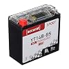 Accurat motorfiets-accu YT14B-BS 12Ah 190A 12V gel-technologie + lcd-display startaccu krachtig robuust…
