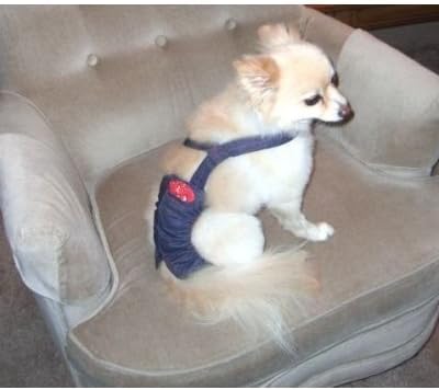 Joybies Durable Denim Piddle Pants(tm) for XXX Small Male Dog (Measuring 7"-9" from Collar to Base of Tail)
