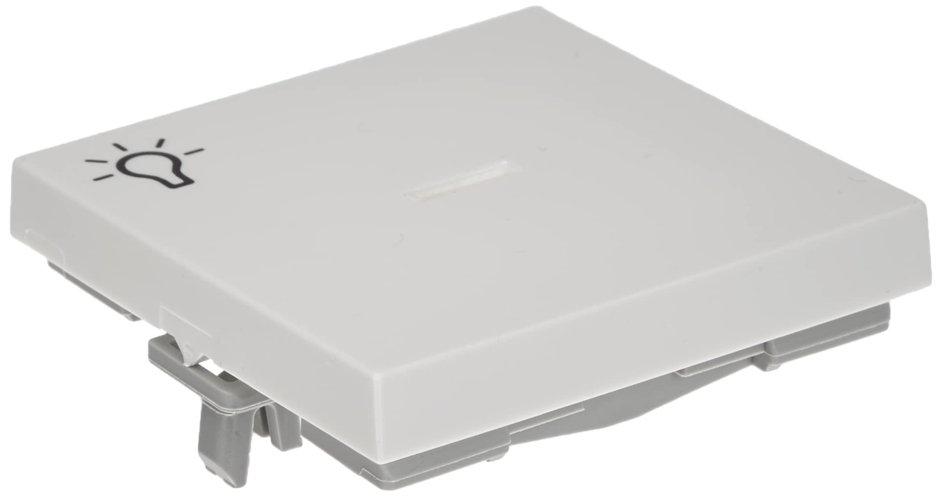 Gira 067403 Rocker Control Symbol Light System 55, Pure White