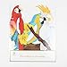 paper jazz Tropical Birds Honeycomb Summer Hawaiian Party Decorations with Colorful Hanging Bird Parrot Honeycomb for Tropical Tiki Bar Luau Rainforest Party Decorations
