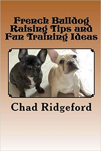 French Bulldog Raising Tips and Fun Training Ideas �y�[�p�[�o�b�N - 2015/5/27