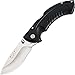 Buck Knives 0395BKS Omni Hunter 10pt Folding Knife with Sheath