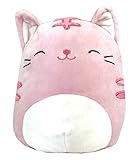 Squishmallows Pink Tabby Kitty Cat Plush