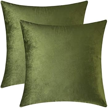 Mixhug Set of 2 Cozy Velvet Square Decorative Throw Pillow Covers for Couch and Bed, Moss Green, 18 x 18 Inches