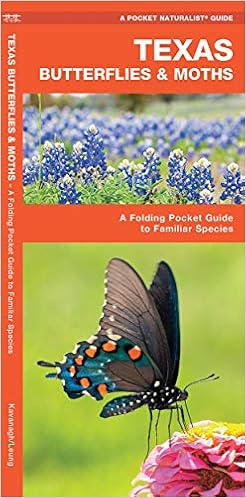 Texas Butterflies Moths A Folding Pocket Guide To Familiar Species A Pocket Naturalist Guide Kavanagh James Press Waterford Leung Raymond 9781583553688 Amazon Com Books