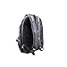 SwissGear Travel Gear 1900 Scansmart TSA Laptop Backpack