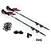 Brotree 2 Pack Trekking Hiking Walking Trail Poles with EVA Foam Grip, Flip-Lock and Tungsten Carbide Tips - Ultraweight & Collapsible