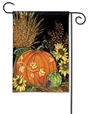 Breeze Art Fall Favorites Garden Flag 37941