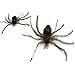 Frenzy Spidie House Spider Attachment/Refill- Also Works with attachments Made for Popular Bird and Mouse Type Wands/Poles