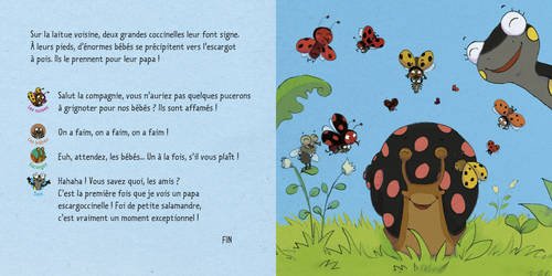 Coccinelle La T Es Qui Toi French Edition Blandine Aubin Amazon Com Books